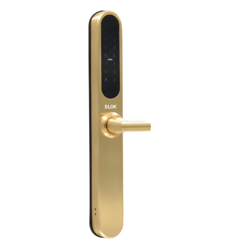 E LOK SATIN BRASS SLIDING DOOR